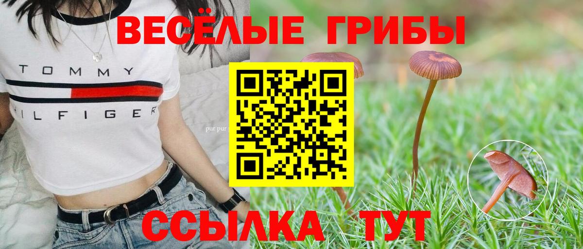 Галлюциногенные грибы MAGIC MUSHROOMS Чайковский